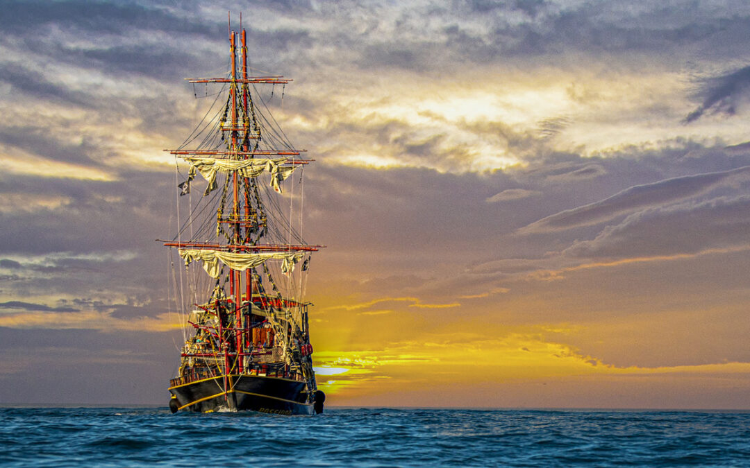 M28 Alliance Ship Is Setting Sail